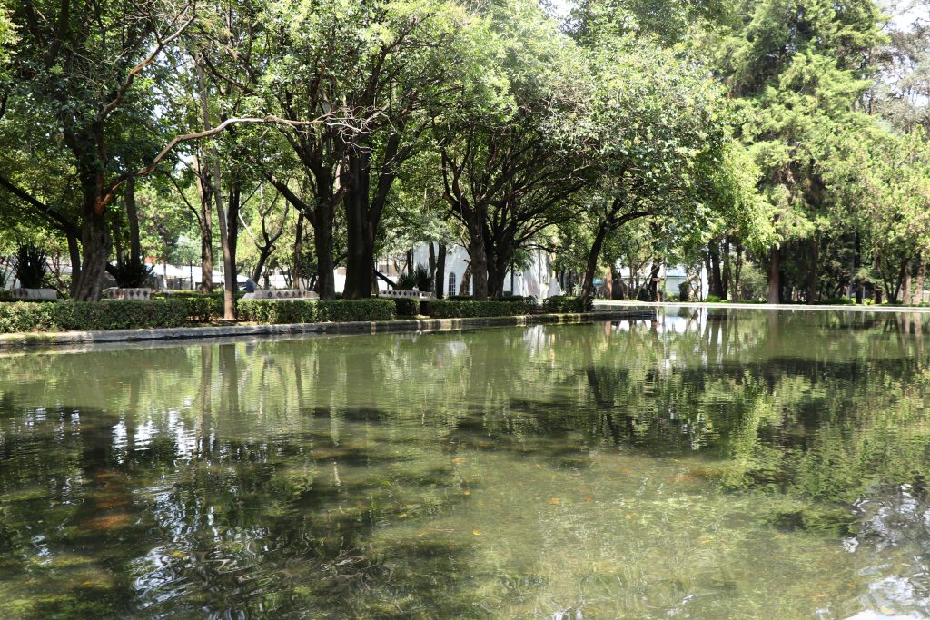 estanque o lago de parque lincoln en polanco, cdmx